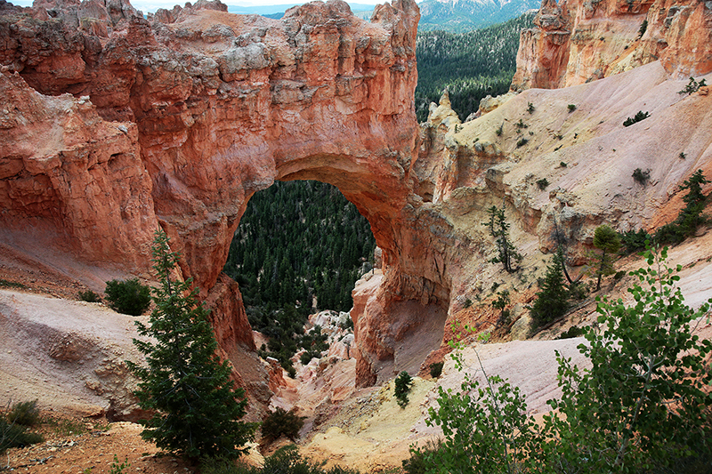 Bryce Canyon : Utah : Landscape Photos : Richard Moore : Photographer
